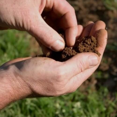 Kit analyse de sol en laboratoire pour plant truffier - Pépinières Naudet