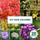 Kit Haie Colorée - 20 Jeunes Plants
