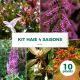 Kit Haie 4 Saisons - 10 Jeunes Plants
