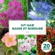 Kit Haie Basse et Bordure - 20 Jeunes Plants